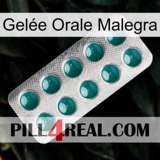 Gelée Orale Malegra dapoxetine1